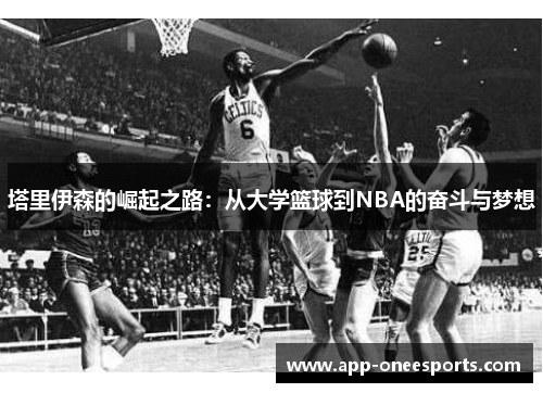塔里伊森的崛起之路：从大学篮球到NBA的奋斗与梦想